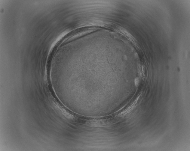 X0000072550780200607211358