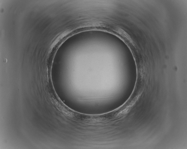 X0000072550781200607211358