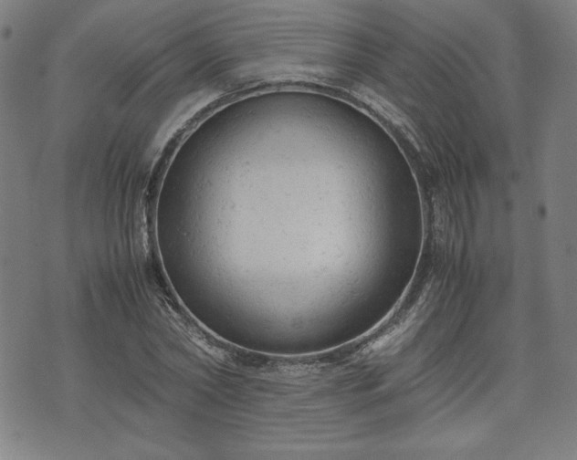 X0000072550782200607211358