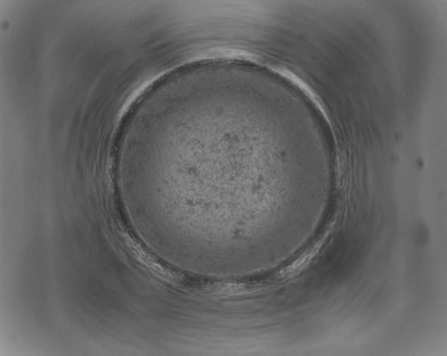 X0000072550783200607211358