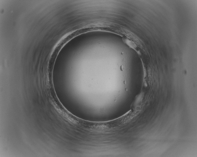 X0000072550784200607211358