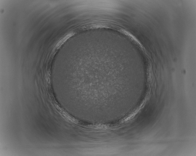 X0000072550785200607211358