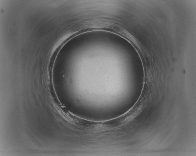 X0000072550787200607211358