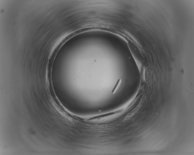 X0000072550788200607211358