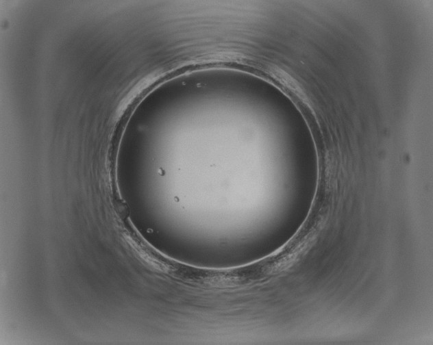 X0000072550789200607211358