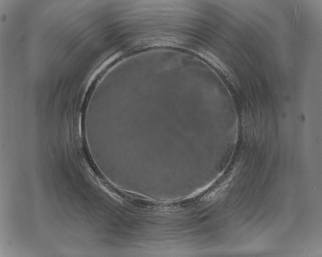 X0000072550790200607211358