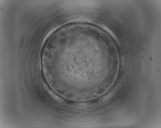 X0000072550791200607211358