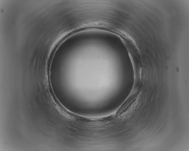 X0000072550792200607211358