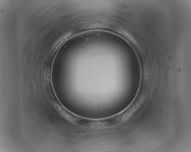 X0000072550793200607211358