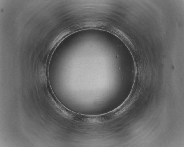 X0000072550794200607211358