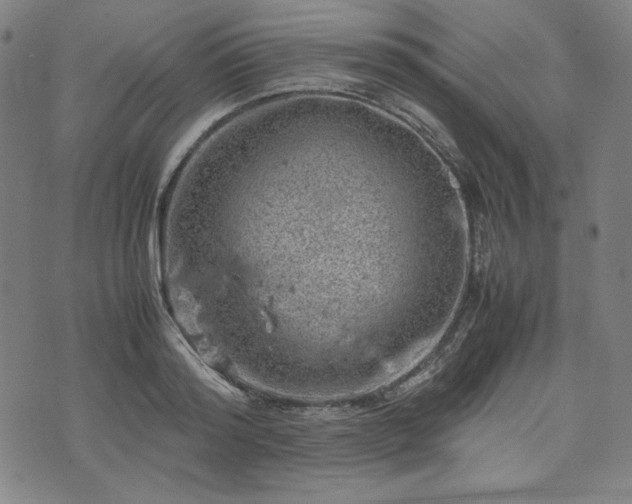 X0000072550796200607211358