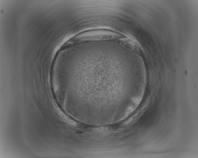 X0000072550797200607211358