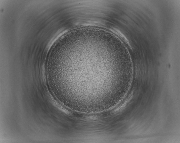 X0000072550798200607211358