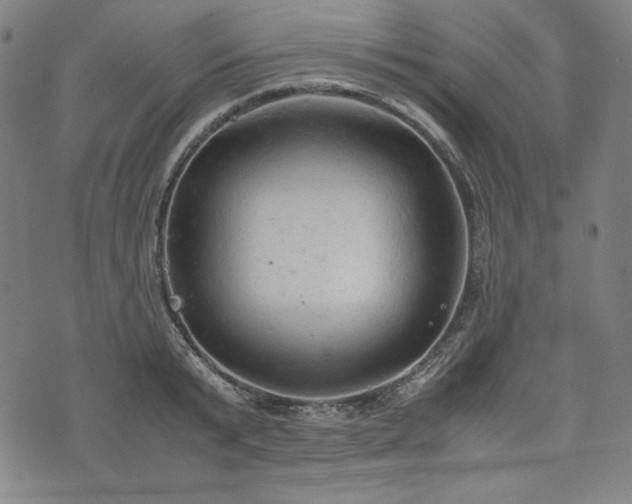 X0000072550799200607211358