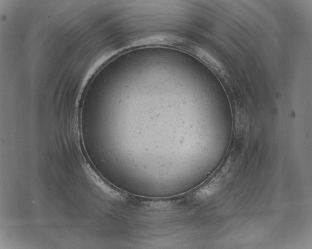 X0000072550800200607211358