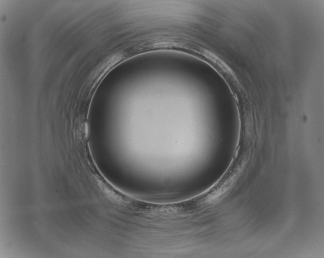 X0000072550801200607211358