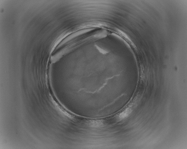 X0000072550802200607211358