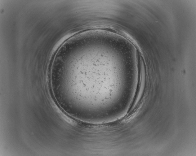 X0000072550803200607211358