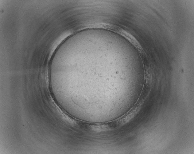 X0000072550804200607211358