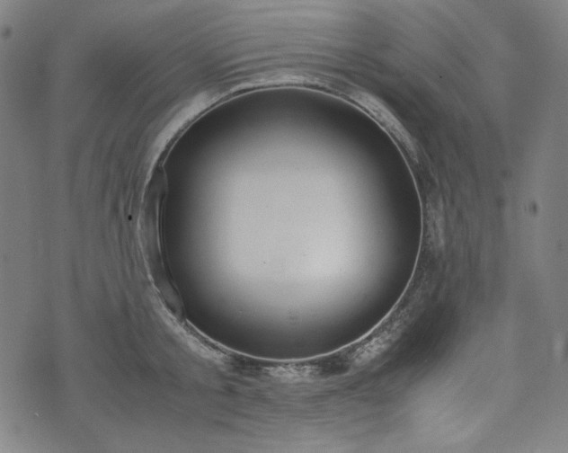 X0000072550805200607211358