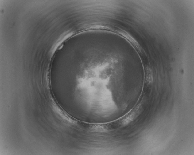 X0000072550806200607211357