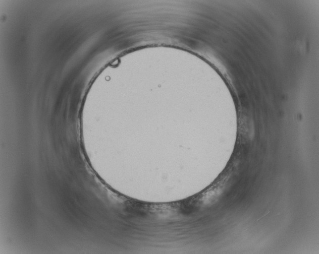 X0000072550807200607211357