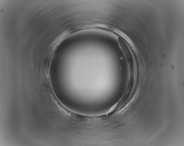 X0000072550809200607211357