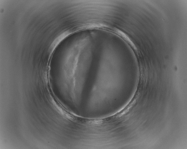 X0000072550810200607211357