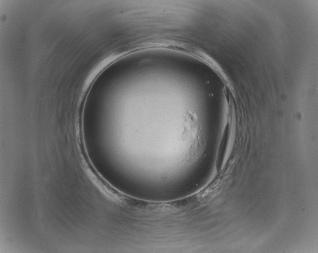 X0000072550811200607211357