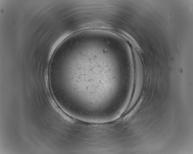 X0000072550812200607211357