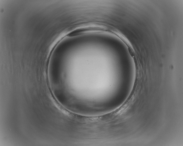 X0000072550813200607211357