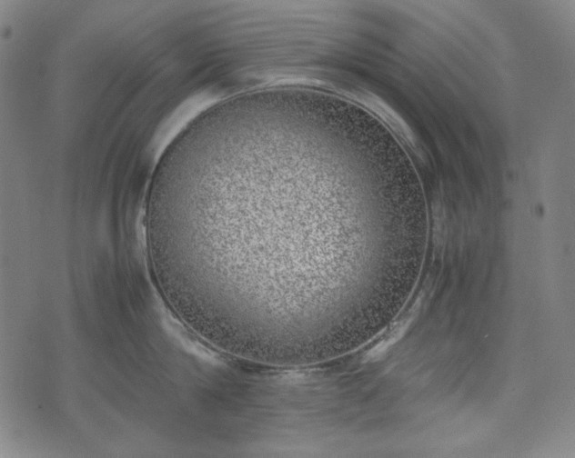 X0000072550814200607211357