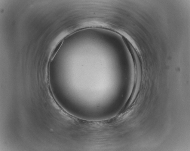 X0000072550815200607211357