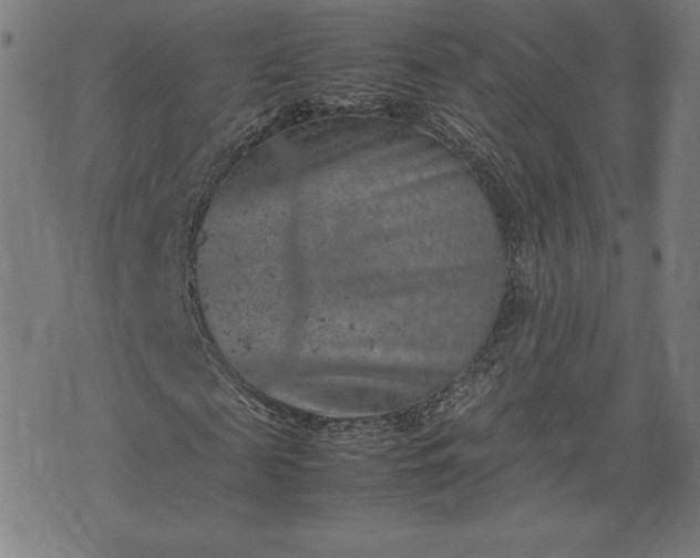 X0000072550817200607211357