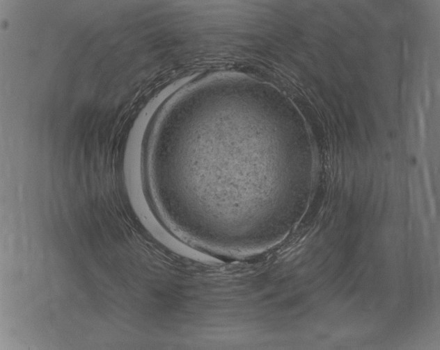 X0000072550818200607211357