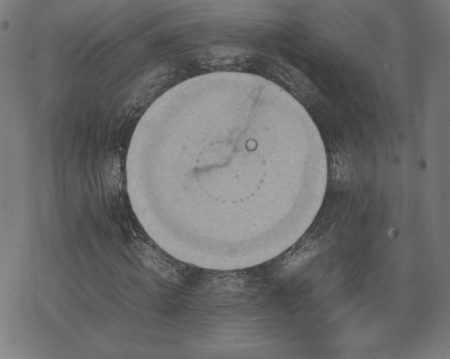 X0000072550820200607211357