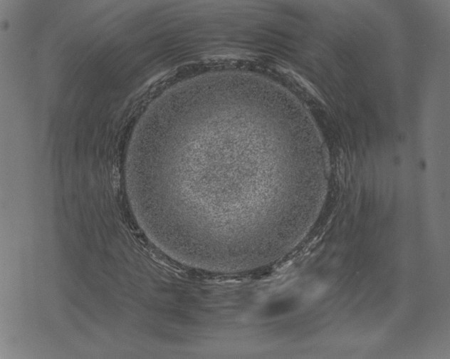 X0000072550821200607211357