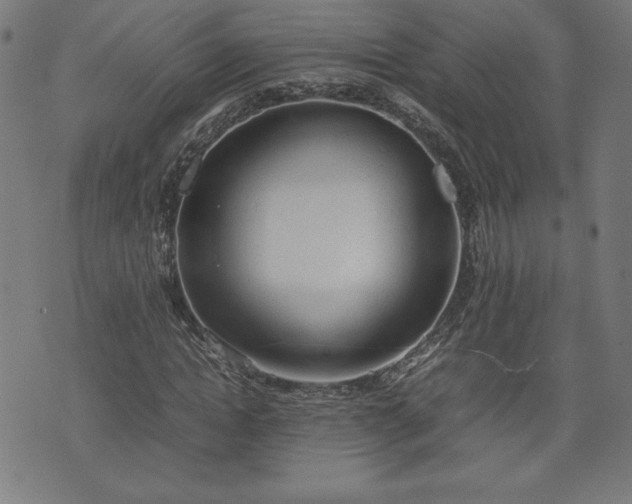 X0000072550822200607211357