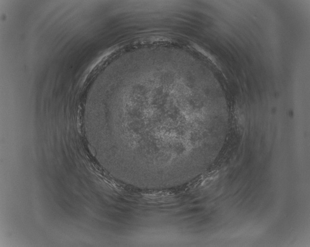 X0000072550823200607211357