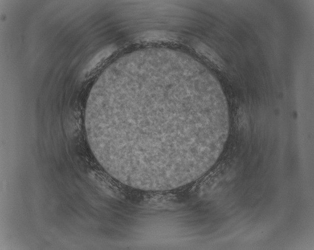 X0000072550824200607211357