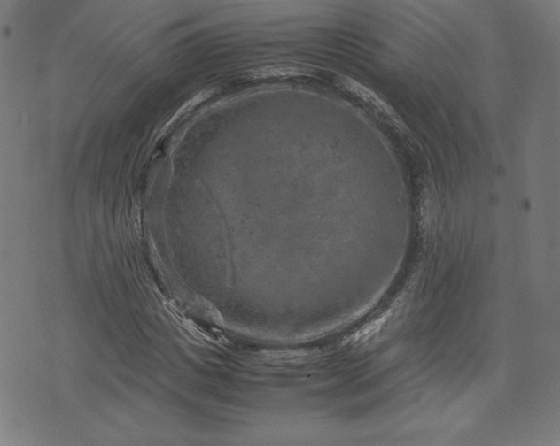 X0000072550825200607211357