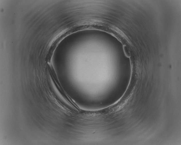 X0000072550826200607211357