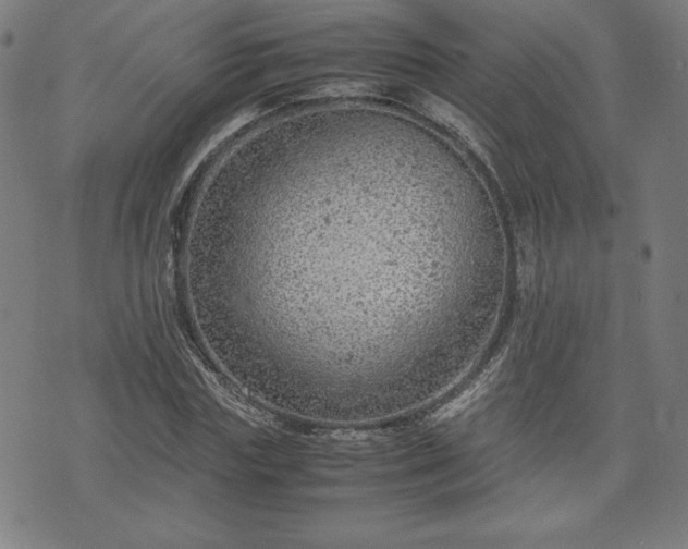 X0000072550827200607211357