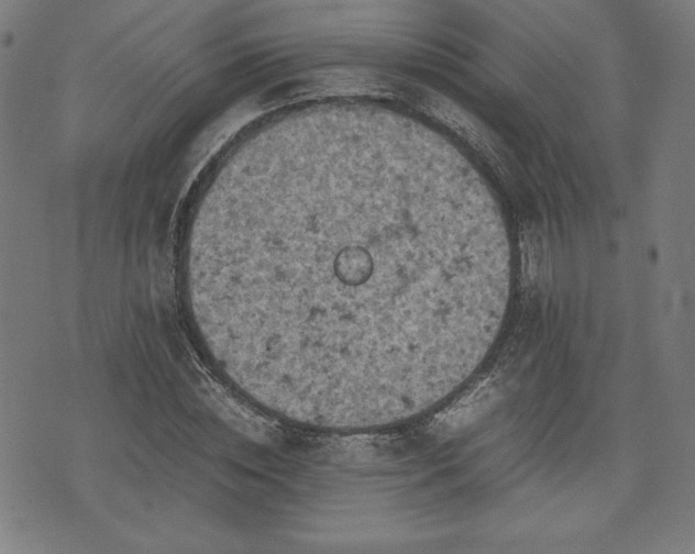 X0000072550828200607211357