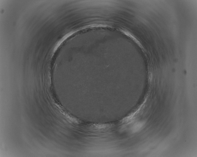 X0000072550829200607211357