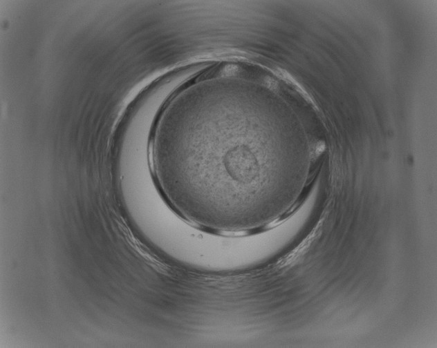 X0000072550830200607211357