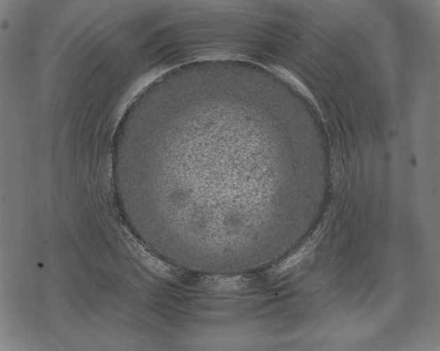 X0000072550831200607211357