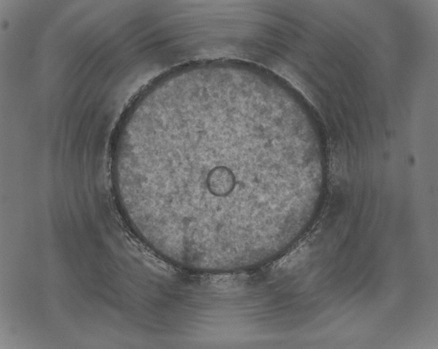 X0000072550832200607211357