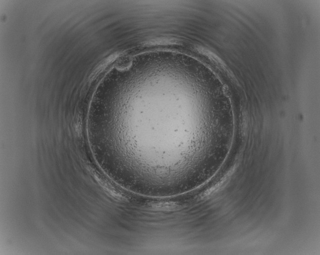 X0000072550833200607211357