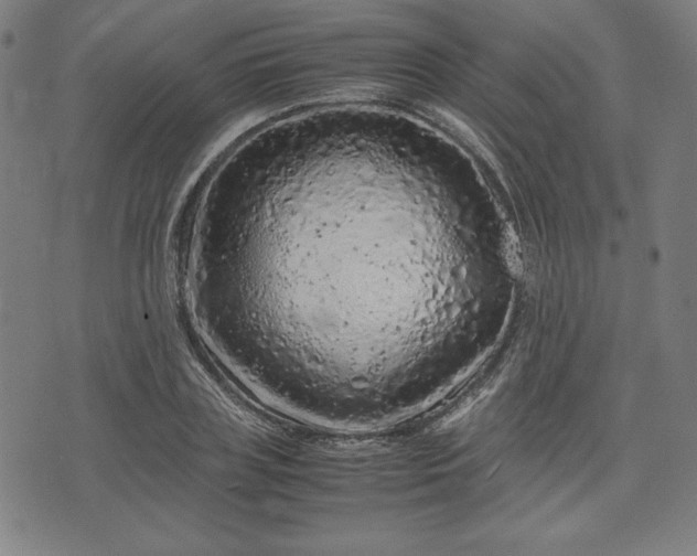 X0000072550835200607211357